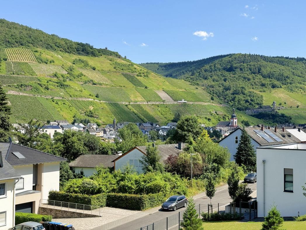 Blick aus dem Wohnzimmer - Mosel Urlaub in Ferienwohnung Mosel Fewo43, Marientaler Au 43, 56856 Zell (Mosel)