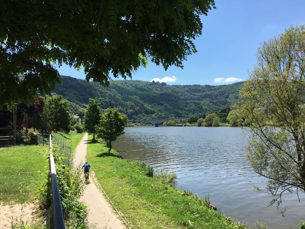 Moselradweg bei Bullay - Mosel Urlaub in Ferienwohnung Mosel Fewo43, Marientaler Au 43, 56856 Zell (Mosel)