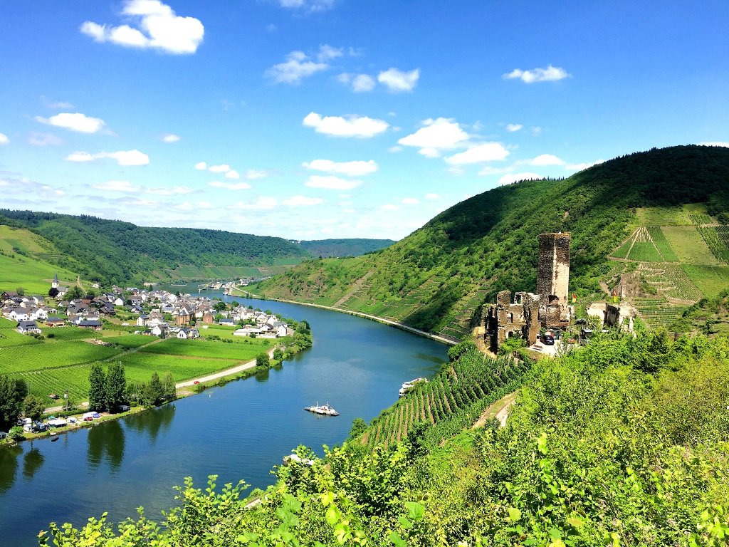 Burg Metternich in Beilstein - Mosel Urlaub in Ferienwohnung Mosel Fewo43, Marientaler Au 43, 56856 Zell (Mosel)