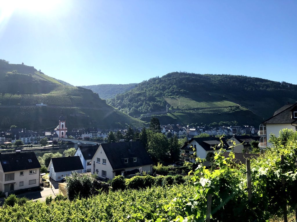 Blick auf Zell Kaimt - Urlaub an der Mosel in Ferienwohnung Mosel Fewo43, Marientaler Au 43, 56856 Zell (Mosel)